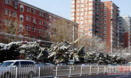 大卫城,古以色列的辉煌与传奇